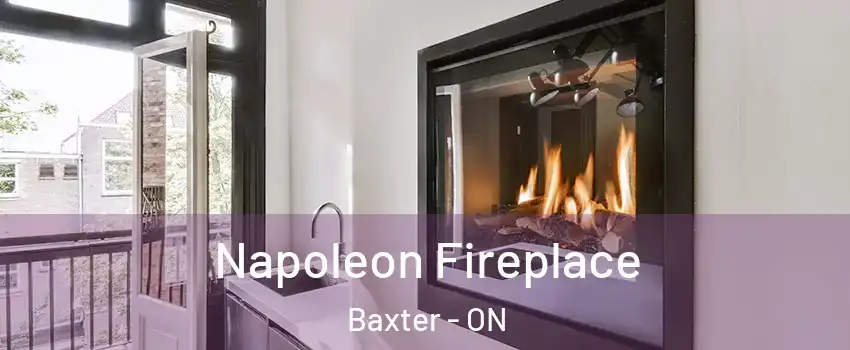  Napoleon Fireplace Baxter - ON