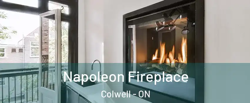  Napoleon Fireplace Colwell - ON