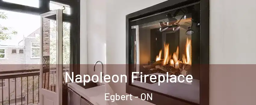  Napoleon Fireplace Egbert - ON