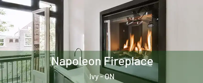  Napoleon Fireplace Ivy - ON