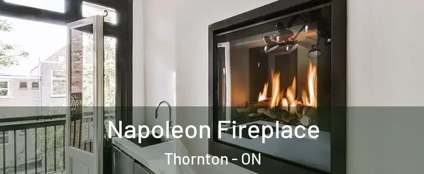  Napoleon Fireplace Thornton - ON