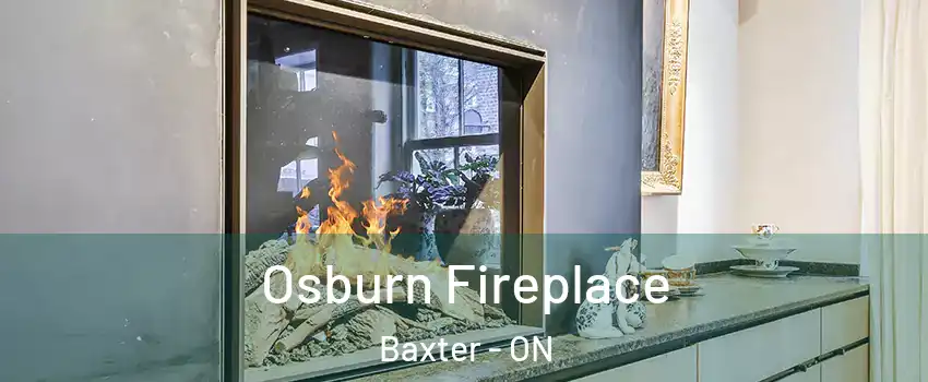  Osburn Fireplace Baxter - ON
