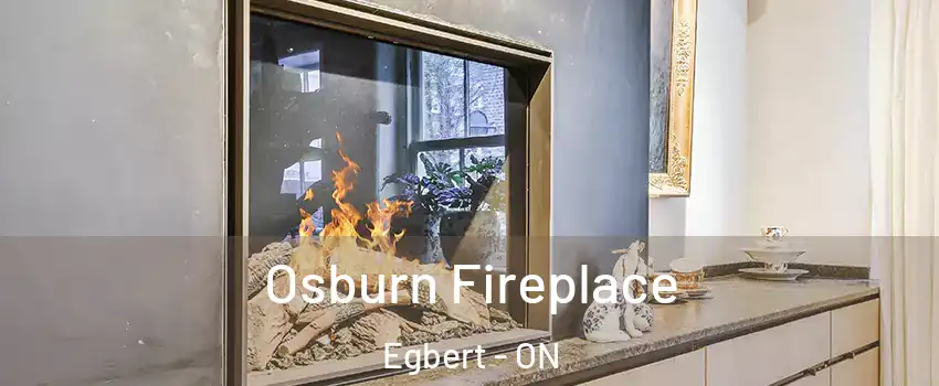  Osburn Fireplace Egbert - ON