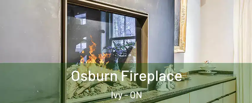  Osburn Fireplace Ivy - ON