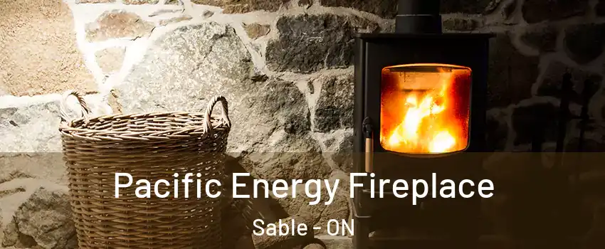  Pacific Energy Fireplace Sable - ON