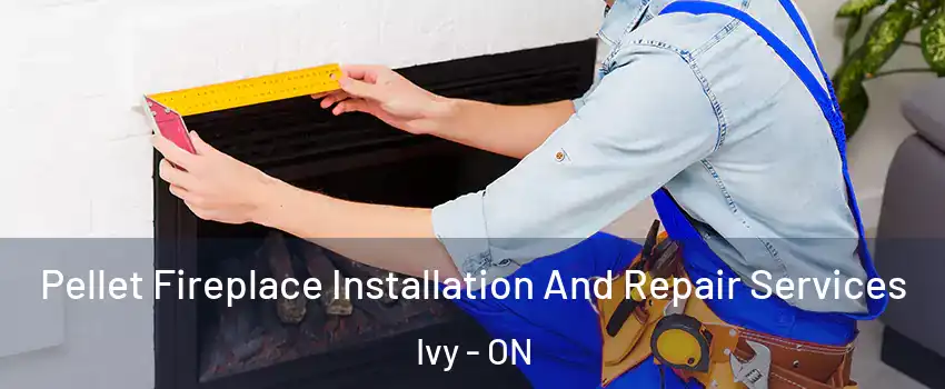  Pellet Fireplace Installation And Repair Services Ivy - ON