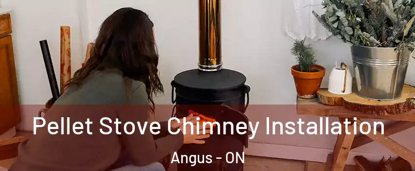 Pellet Stove Chimney Installation Angus - ON