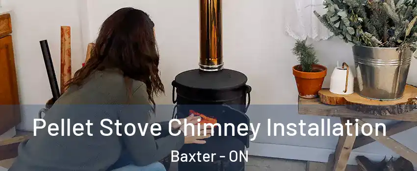 Pellet Stove Chimney Installation Baxter - ON