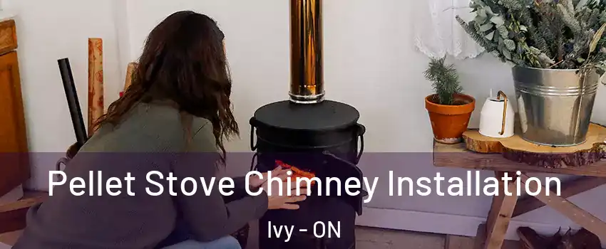  Pellet Stove Chimney Installation Ivy - ON