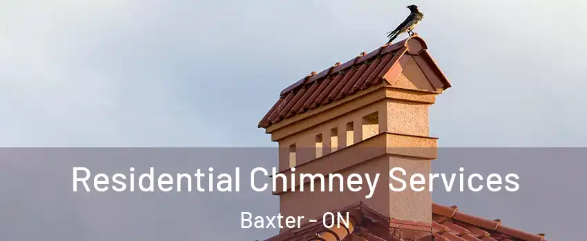  Residential Chimney Services Baxter - ON