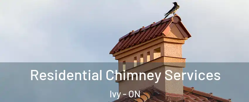  Residential Chimney Services Ivy - ON