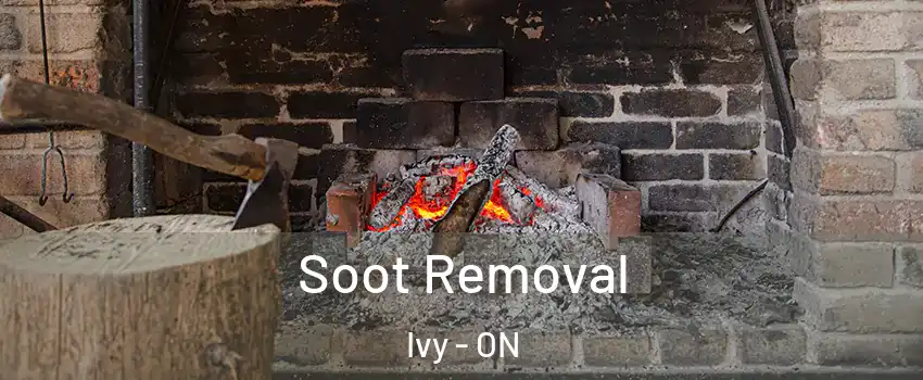  Soot Removal Ivy - ON