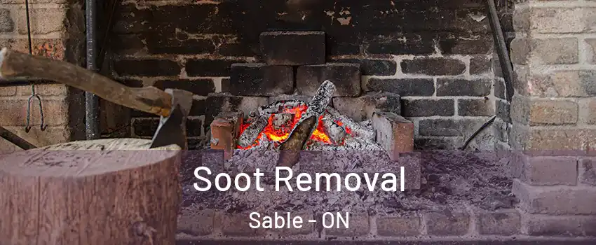  Soot Removal Sable - ON