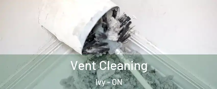  Vent Cleaning Ivy - ON