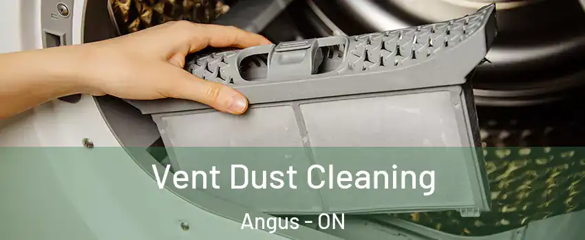  Vent Dust Cleaning Angus - ON