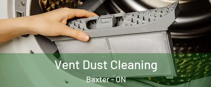  Vent Dust Cleaning Baxter - ON