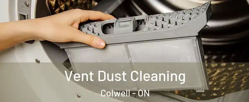  Vent Dust Cleaning Colwell - ON