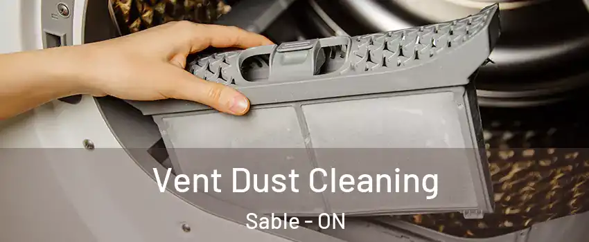  Vent Dust Cleaning Sable - ON