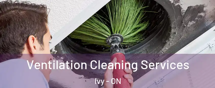  Ventilation Cleaning Services Ivy - ON