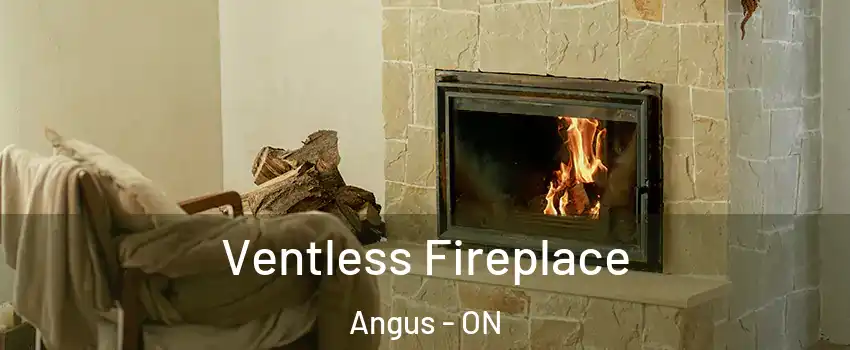  Ventless Fireplace Angus - ON