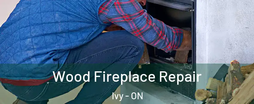  Wood Fireplace Repair Ivy - ON