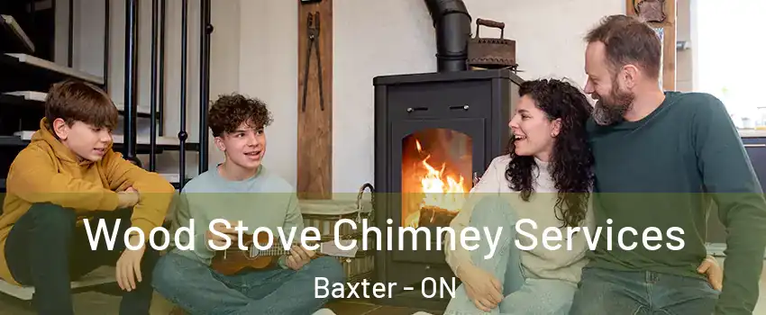  Wood Stove Chimney Services Baxter - ON