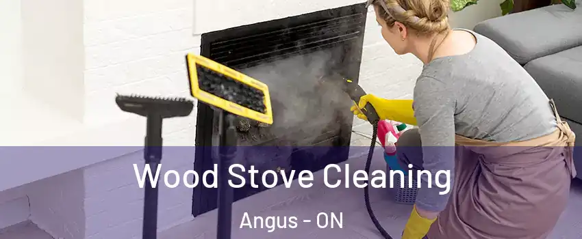  Wood Stove Cleaning Angus - ON