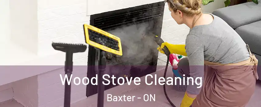  Wood Stove Cleaning Baxter - ON
