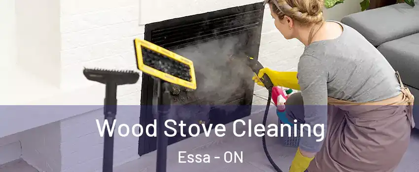  Wood Stove Cleaning Essa - ON