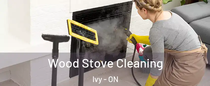  Wood Stove Cleaning Ivy - ON