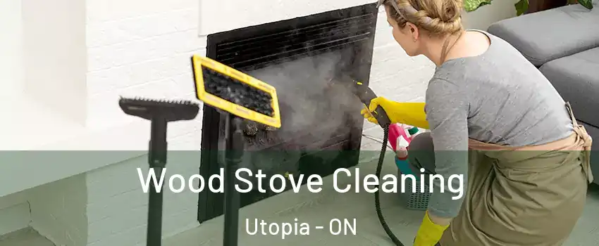  Wood Stove Cleaning Utopia - ON