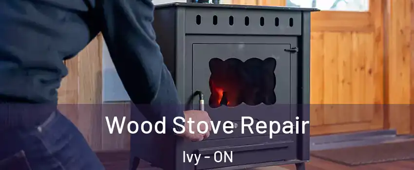  Wood Stove Repair Ivy - ON
